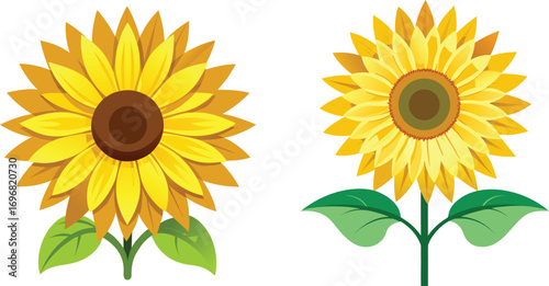 Two detailed yellow sunflowers facing forward ready for summer harvest celebration vector