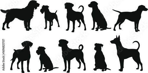 Black dog silhouettes collection, domestic pet poses, cartoon style vector illustration, canine animal artwork, puppy clipart, cute dog icon design