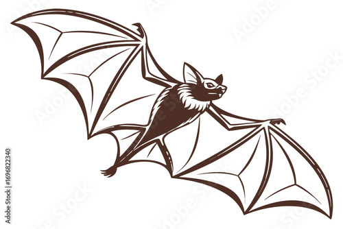 Illustration of a bat with outstretched wings
