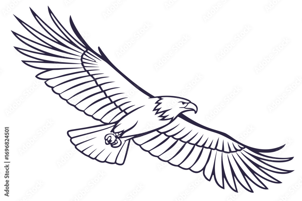 Obraz premium Line art eagle in flight