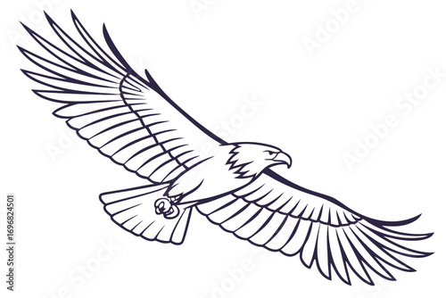 Line art eagle in flight