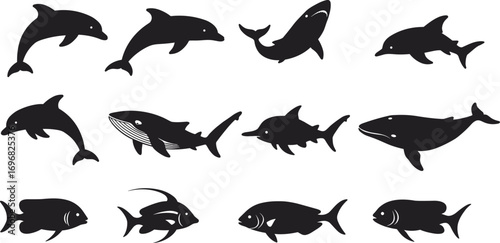 Marine animal silhouettes with dolphins, whales, fish, sharks, aquatic life vector illustration, black sea creatures clipart, isolated on white background