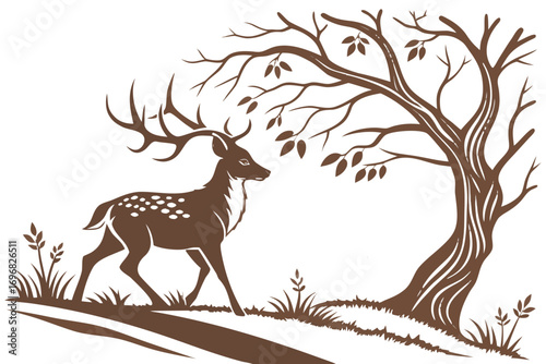 Deer standing in a forest near a tree, nature and wildlife