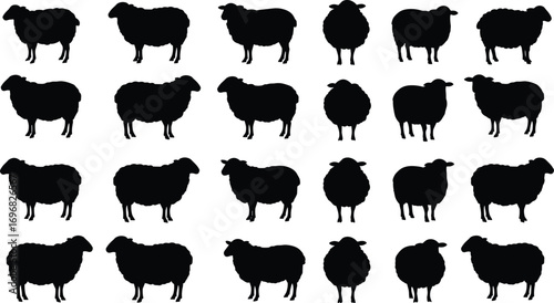 Silhouette of sheep in different standing positions, farm animal illustration, livestock pattern, sheep outline vector, agriculture farming concept