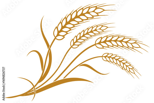Golden wheat ears