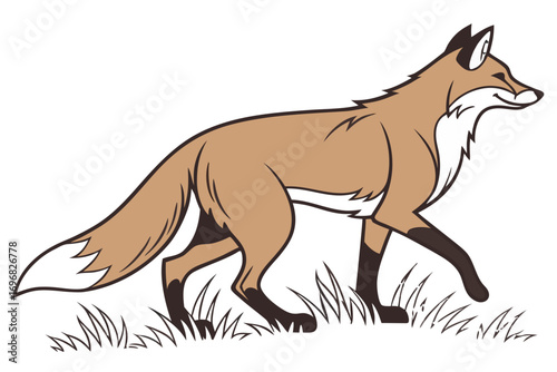 A brown fox walking in the grass