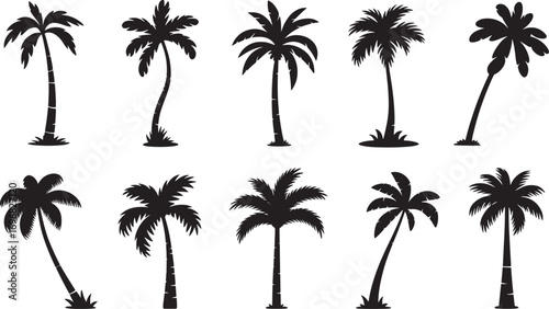 A collection of various black palm tree silhouettes isolated on a transparent background.