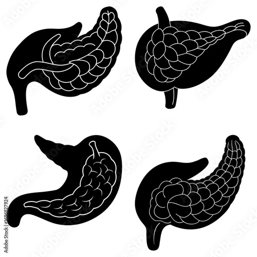 Four pancreas organ illustrations with detailed internal structure in black and white design style