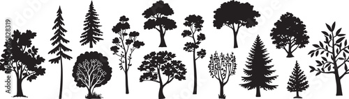 Pine tree silhouettes. Evergreen forest firs and spruces black shapes, wild nature trees templates. Vector illustration woodland trees set 