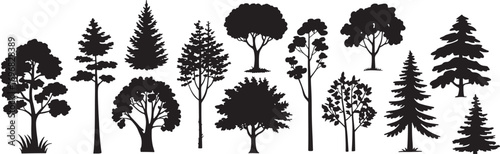 Pine tree silhouettes. Evergreen forest firs and spruces black shapes, wild nature trees templates. Vector illustration woodland trees set 