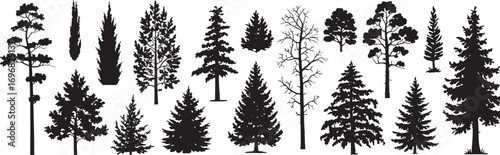 Pine Tree Silhouette Vector Set – Evergreen Forest, Fir, Spruce, Bonsai, and Christmas Nature Icons