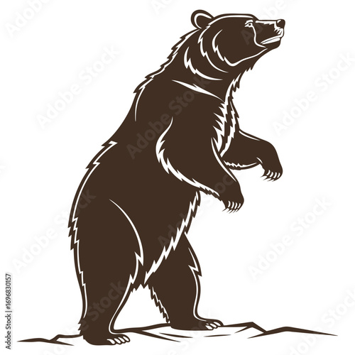Brown bear silhouette standing on hind legs looking up against white background grizzly bear