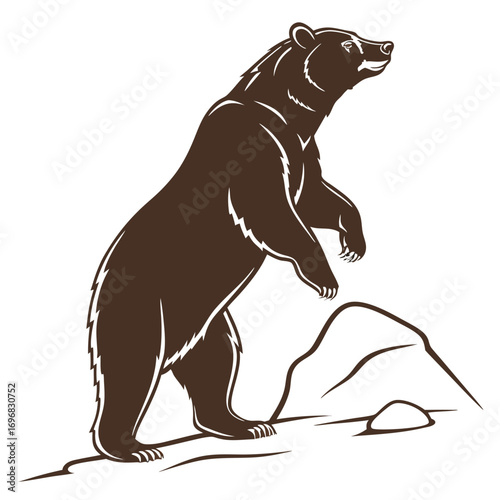 Brown bear silhouette standing on hind legs near rocks against white background grizzly bear