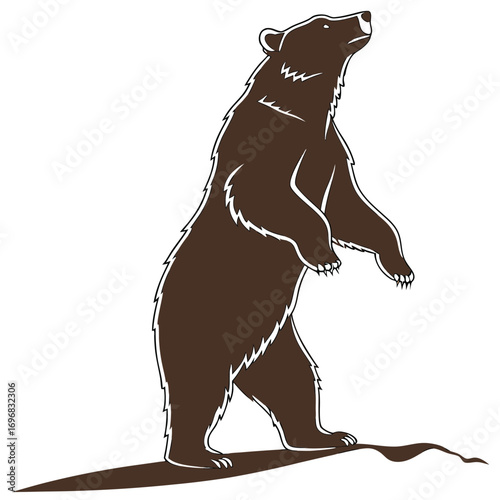 Brown Bear Standing Upright Looking Up Silhouette with White Outline and Shadow grizzly bear animal