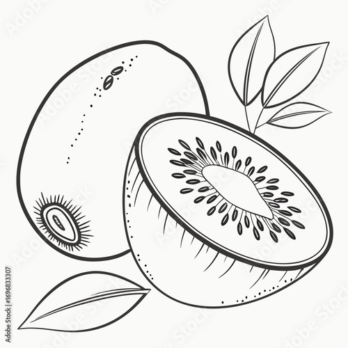 Kiwi Fruit Illustration Line Art Drawing of Whole and Sliced Kiwi with Leaves