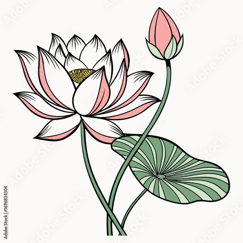 Elegant illustration of a blooming pink and white lotus flower with a bud and leaf, symbolizing purity and spiritual enlightenment