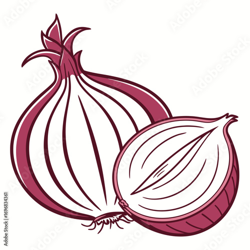 Detailed vector illustration of a whole and halved red onion, showcasing the internal layers of this fresh culinary ingredient, isolated on white