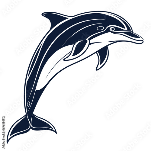 Dark Blue Dolphin Leaping with White Stripes on White Background jumping ocean