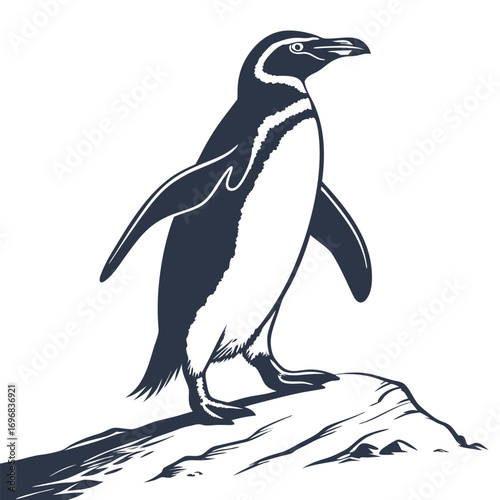 Dark Silhouette Penguin Standing On A Rocky Surface animal bird