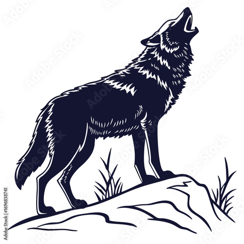 Detailed black wolf howling on a rock with grass, white background animal