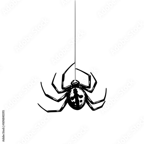 Spider hanging on thread in monochrome pencil drawing style, Halloween-style design, isolated vector image on a transparent background  
  