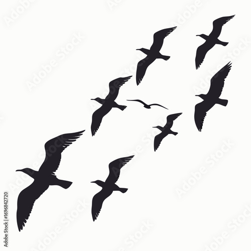 Flock of Seagulls Silhouettes Flying in Formation on White Background bird birds