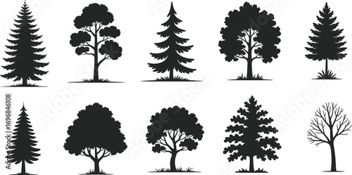 Black Tree Silhouette Set, Vector Nature Trees, Landscape Forest Design Elements, Evergreen and Deciduous Trees, Woodland Icons, Park Tree Graphic