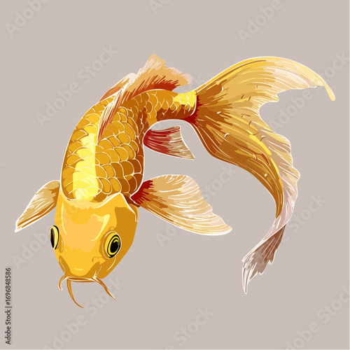 golden koi fish elegant vector illustration for aquatic decor