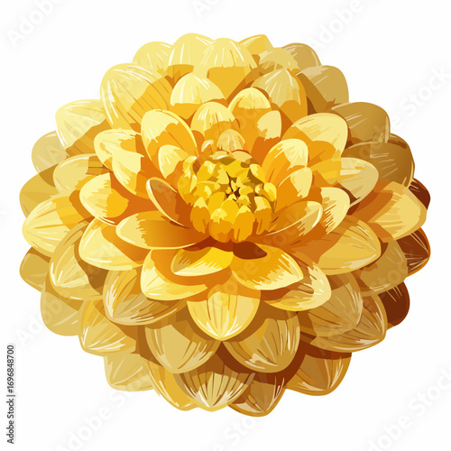 golden barrel marigold floral vector illustration for garden and decor