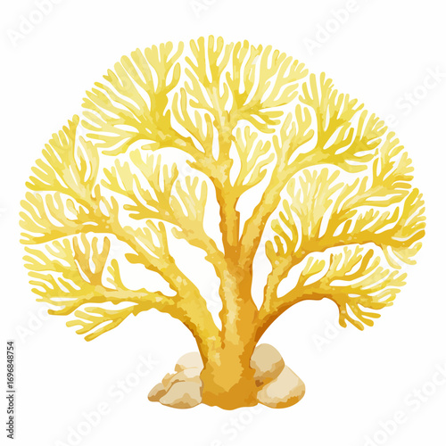 pale yellow sea fan coral vector illustration for coastal décor branding
