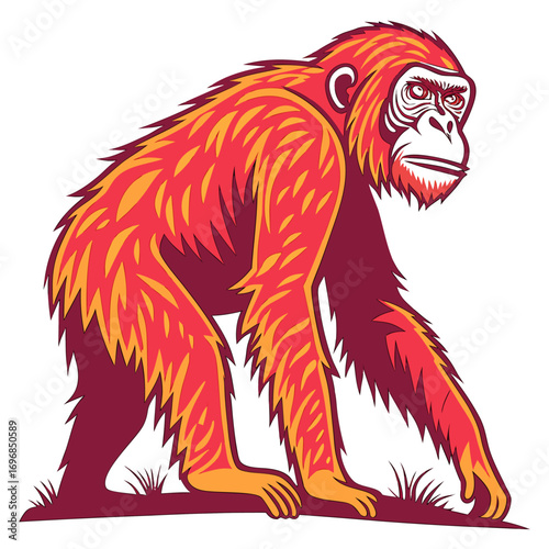 Illustration of an orangutan with vibrant red and yellow fur, walking on a dark ground