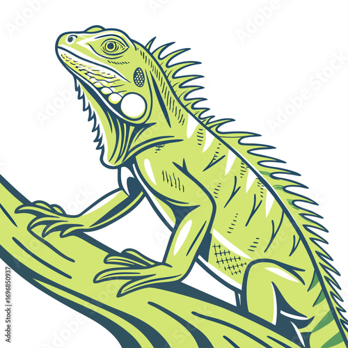 Green iguana reptile perched on a tree branch