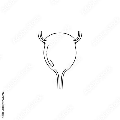 Simple line drawing of a bladder with ureters and urethra on a white background illustration
