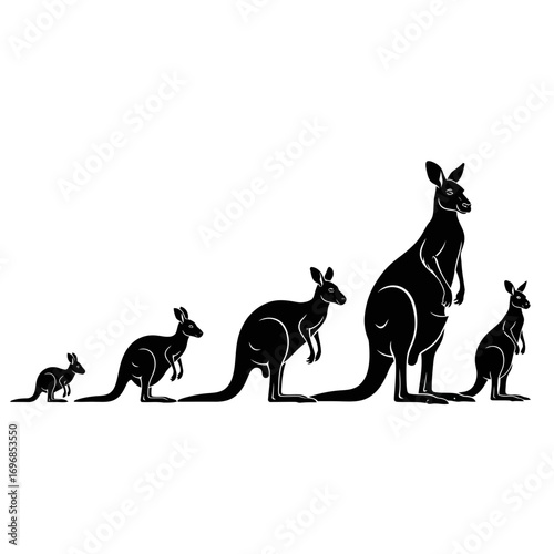 Five kangaroos in silhouette isolated on white background