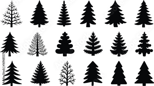 Set of pine tree silhouettes, black evergreen tree icons, forest elements collection, winter tree vector designs, isolated on white background.