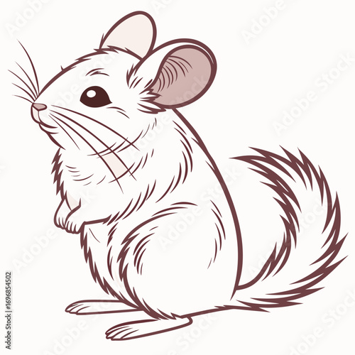 Sketch of a chinchilla with detailed fur texture