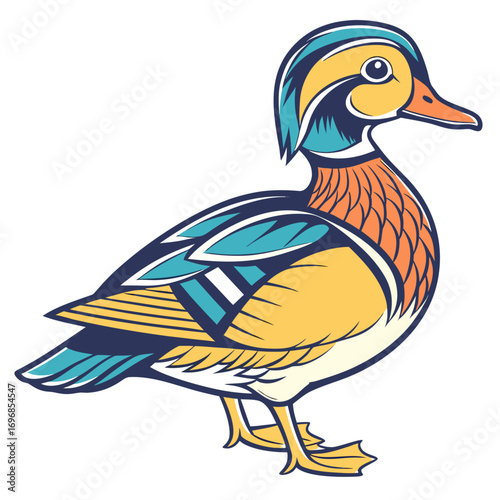 Colorful wood duck illustration