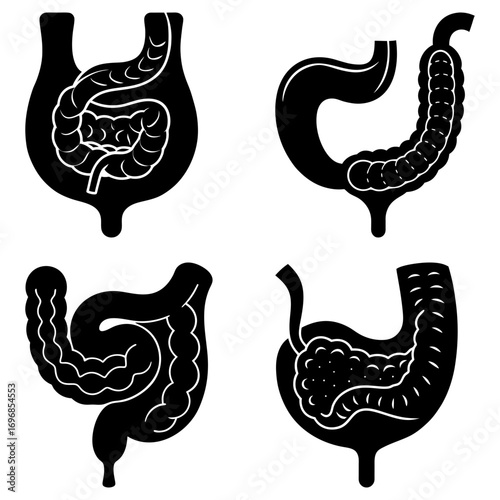 Anatomical representation of human intestines showing different shapes and configurations in black and white