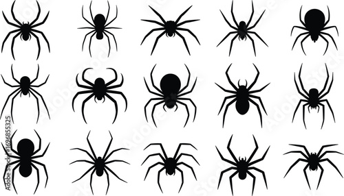 Spider silhouette vector set, black creepy spider icons, Halloween insect graphics, arachnid clipart collection, isolated horror elements on white background.