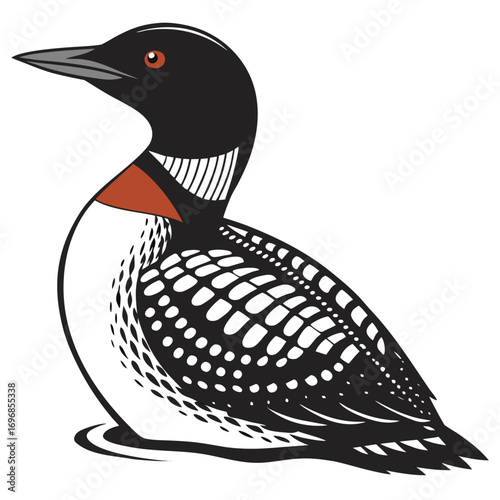 Illustration of a common loon bird with black and white plumage
