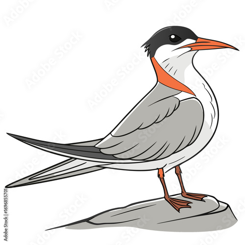 Seabird with orange beak and neck standing on a rock
