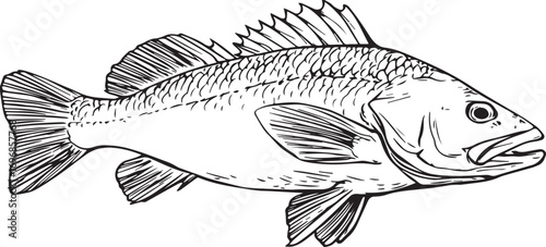 Simple black and white salmon silhouette icon