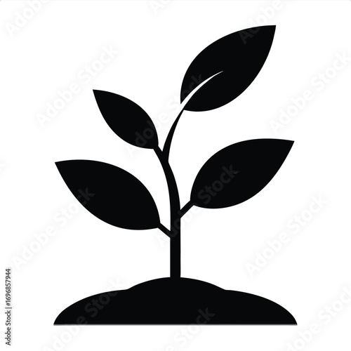 "Single Plant"