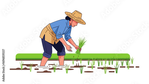 Asian Farmer Planting Rice: A hardworking Asian farmer cultivates rice in a traditional paddy field, embodying agricultural heritage, and sustainable practice.