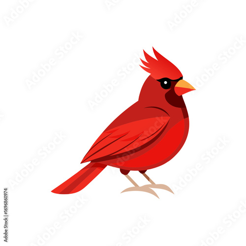 A red bird with a red beak and a black beak