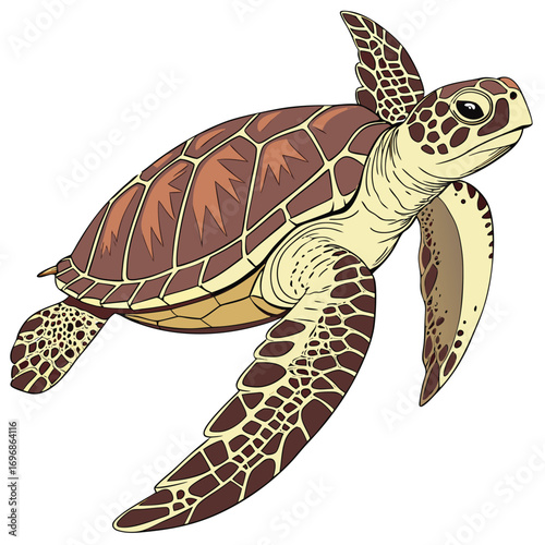 Stylized Drawing of a Sea Turtle Swimming on a Plain White Surface marine life ocean