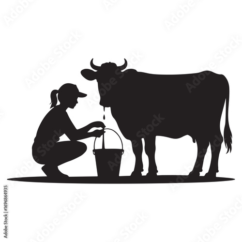 Silhouette of a farmer woman milking a cow by hand into a bucket on a farm at sunrise or sunset