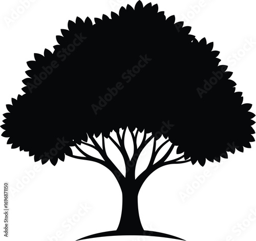 Bold silhouette of a lush, mature tree against a bright white background