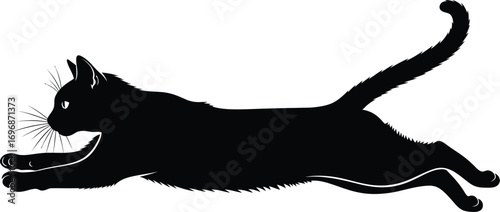 Black cat silhouette vector illustration domestic animal pet
