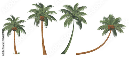 A Detailed Illustration of Four Palm Trees, Showcasing Varying Heights and Bends